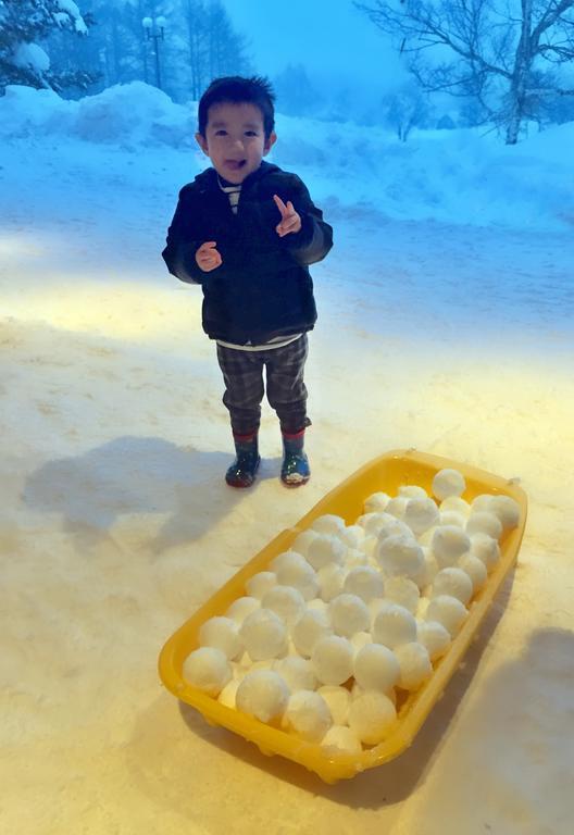 Snowball Chalet At Madarao Mountain Hotel Iiyama Екстериор снимка