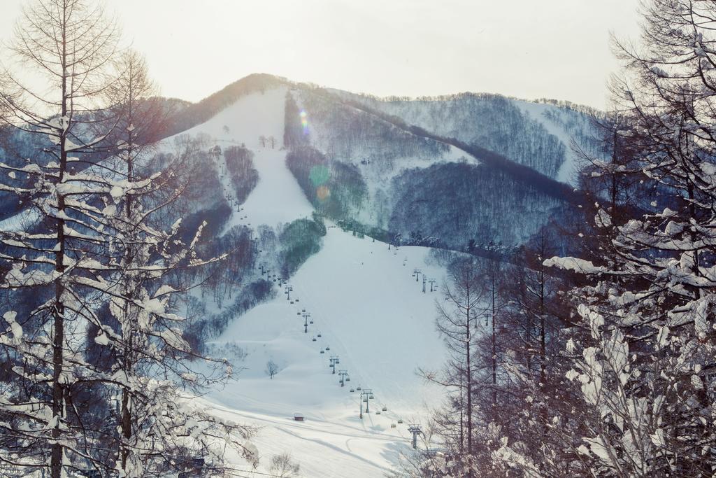Snowball Chalet At Madarao Mountain Hotel Iiyama Екстериор снимка